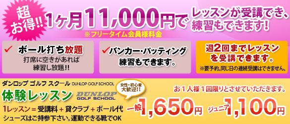 111,000~ōDȎɍDȂIgI